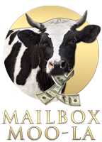 Mailbox Moola  | Put Money In Your Mailbox